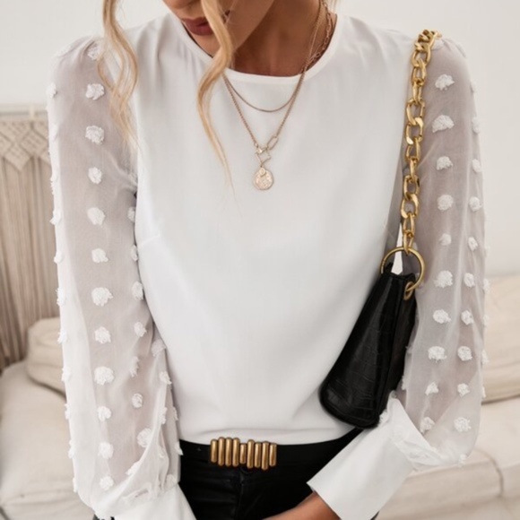 Swiss Dot Sheer Long Sleeve Blouse - Picture 10 of 12